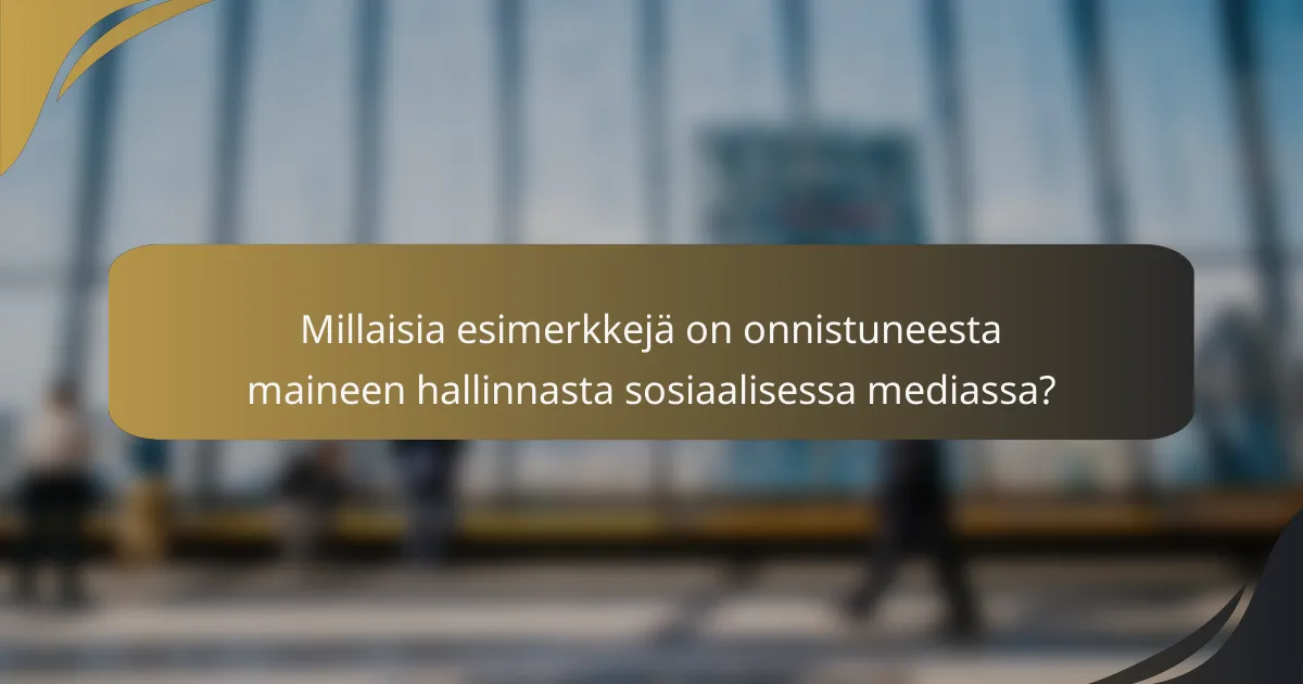 Millaisia esimerkkejä on onnistuneesta maineen hallinnasta sosiaalisessa mediassa?